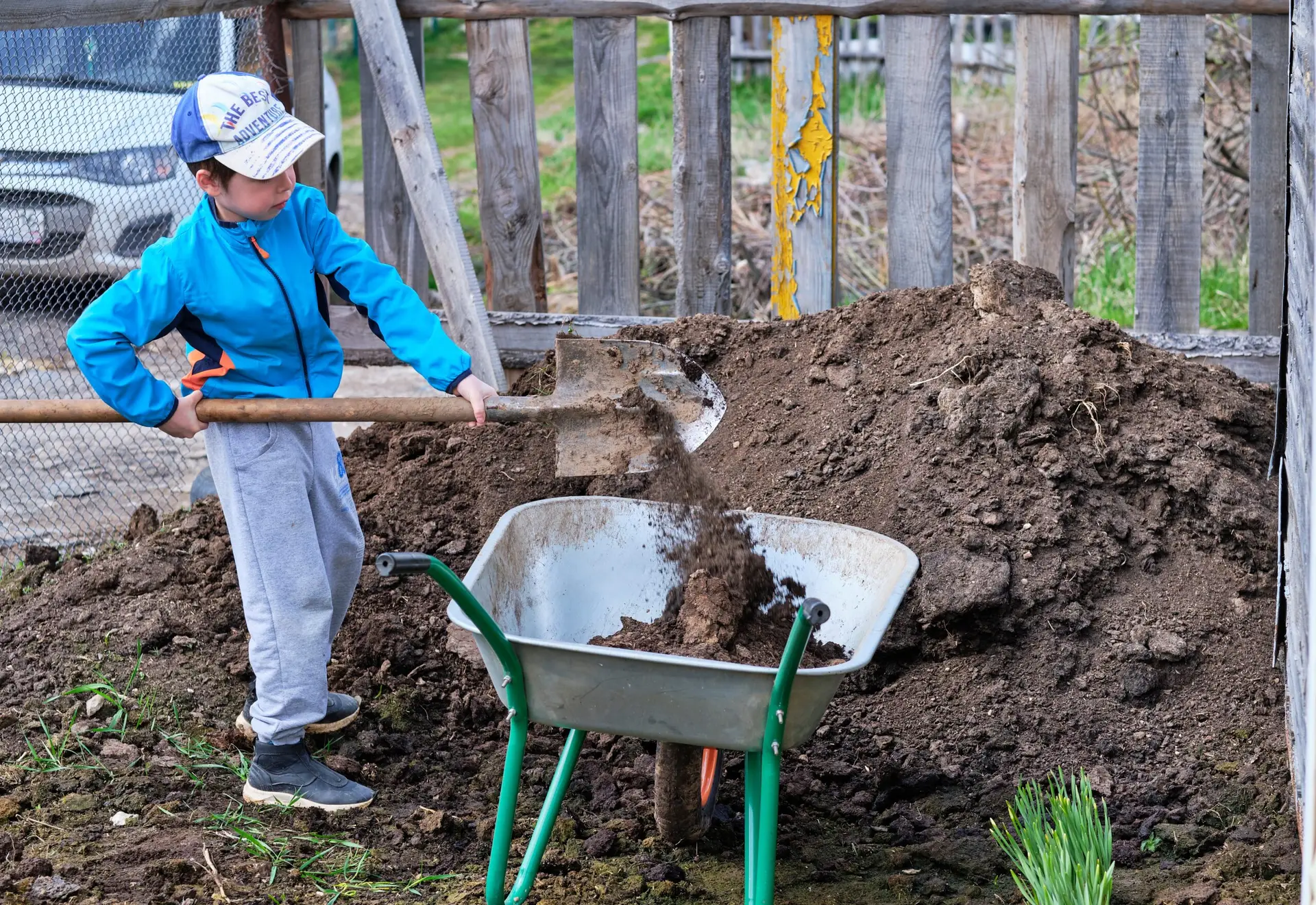 boy-works-in-the-vegetable-garden-the-boy-is-digg-2023-11-27-05-30-25-utc