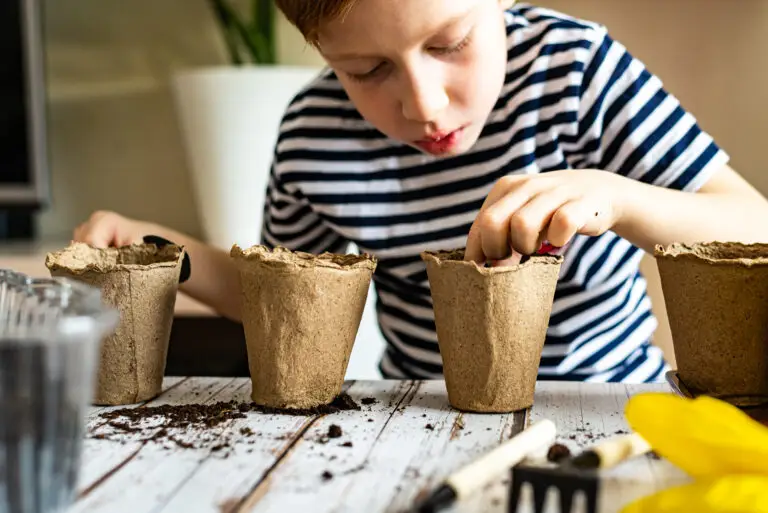 Thrive Learning Hub learning that inspires