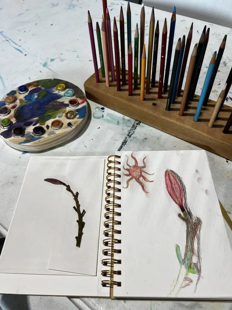 Farm Fridays at Joy Farms in Vero Beach Florida