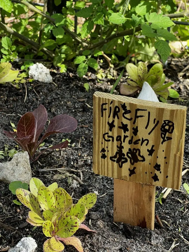 Farm Fridays at Joy Farms in Vero Beach Florida